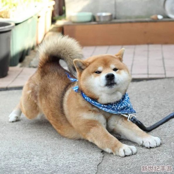 蜜汁肉桃