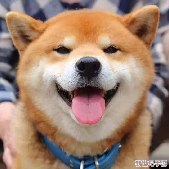 蜜汁肉桃