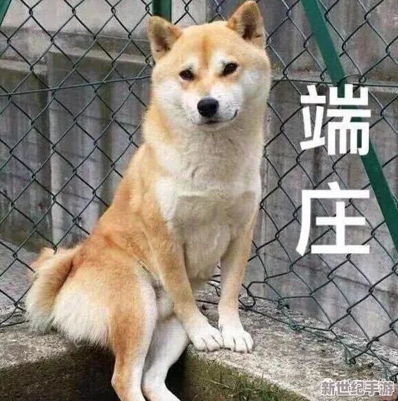 蜜汁肉桃