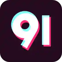 91网视频