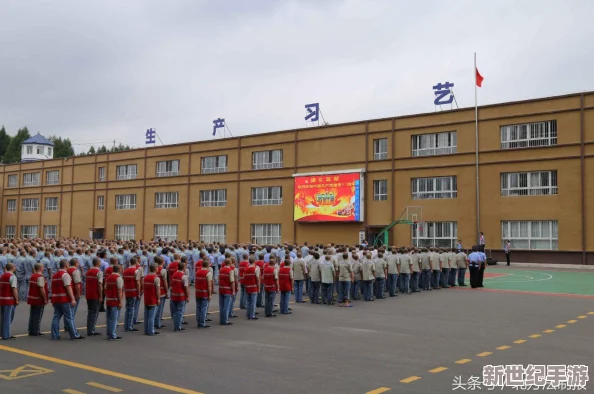 久久97精华液的成分分析及其在皮肤护理中的应用研究与效果评估