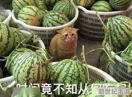 91吃瓜**
