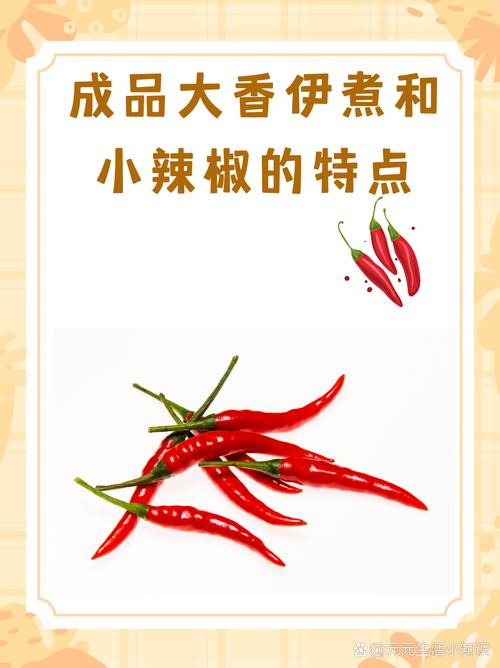 成品大香伊煮与小辣椒的