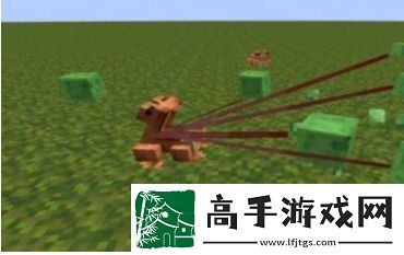 我的世界青蛙有什么用