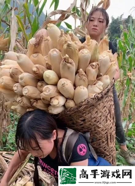 农夫“果儿”奇遇记