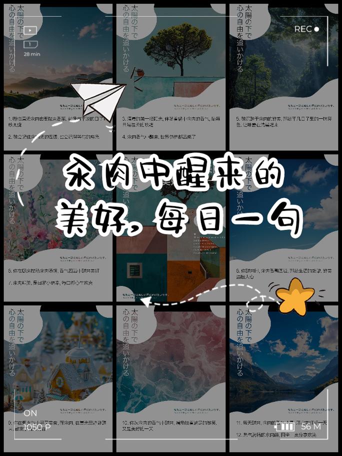 每日汆肉唤醒的弹窗之谜