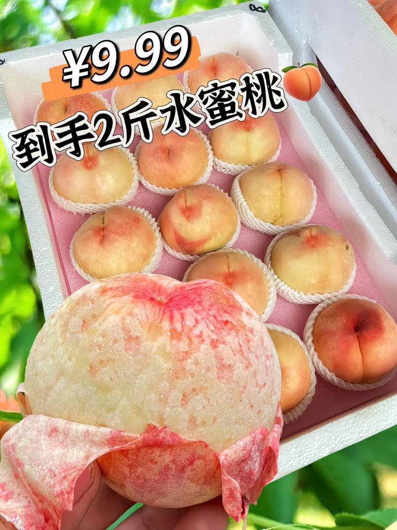 7x7x7x7x7任意槽水蜜桃