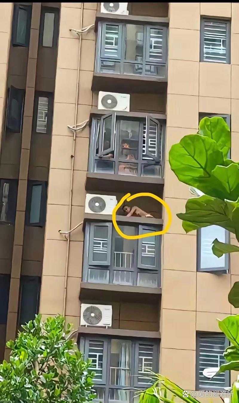 趴窗户上做给对面看