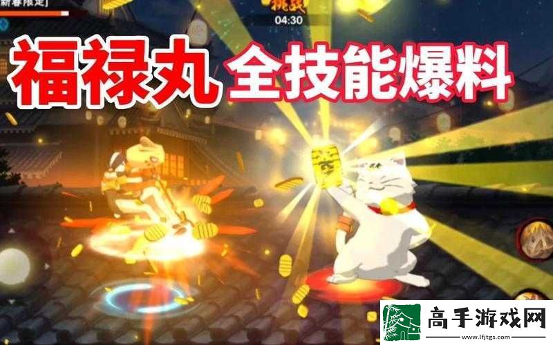 两周高效养成之路