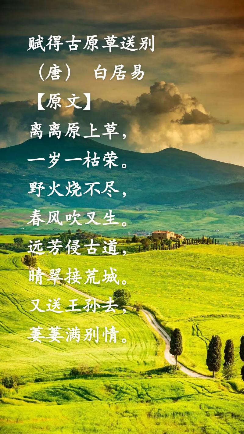 青青河边草出草院