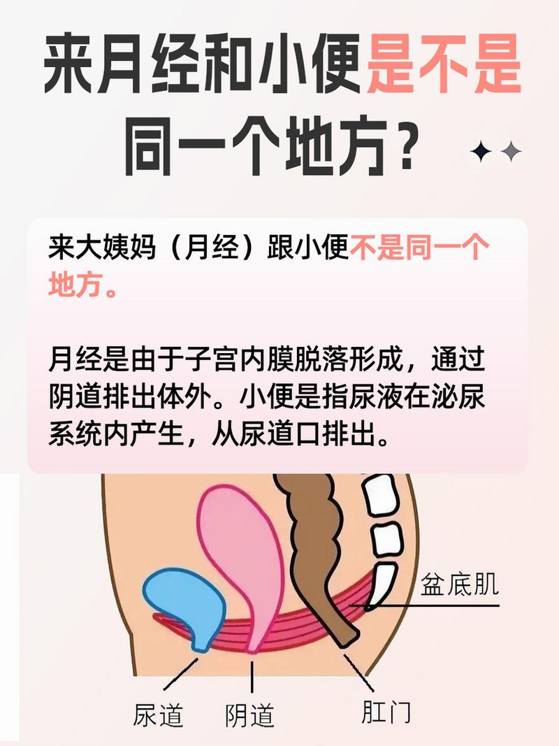 感觉下面打开了是不是月经要来了