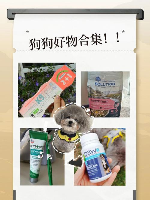 办公室可不可以干湿你小狗狗