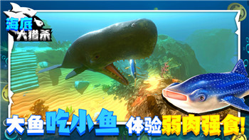 《梦幻天堂岛冒险者们的荣耀之旅》全新冒险与挑战，开启你的荣耀之路！