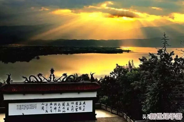 家庭轮换