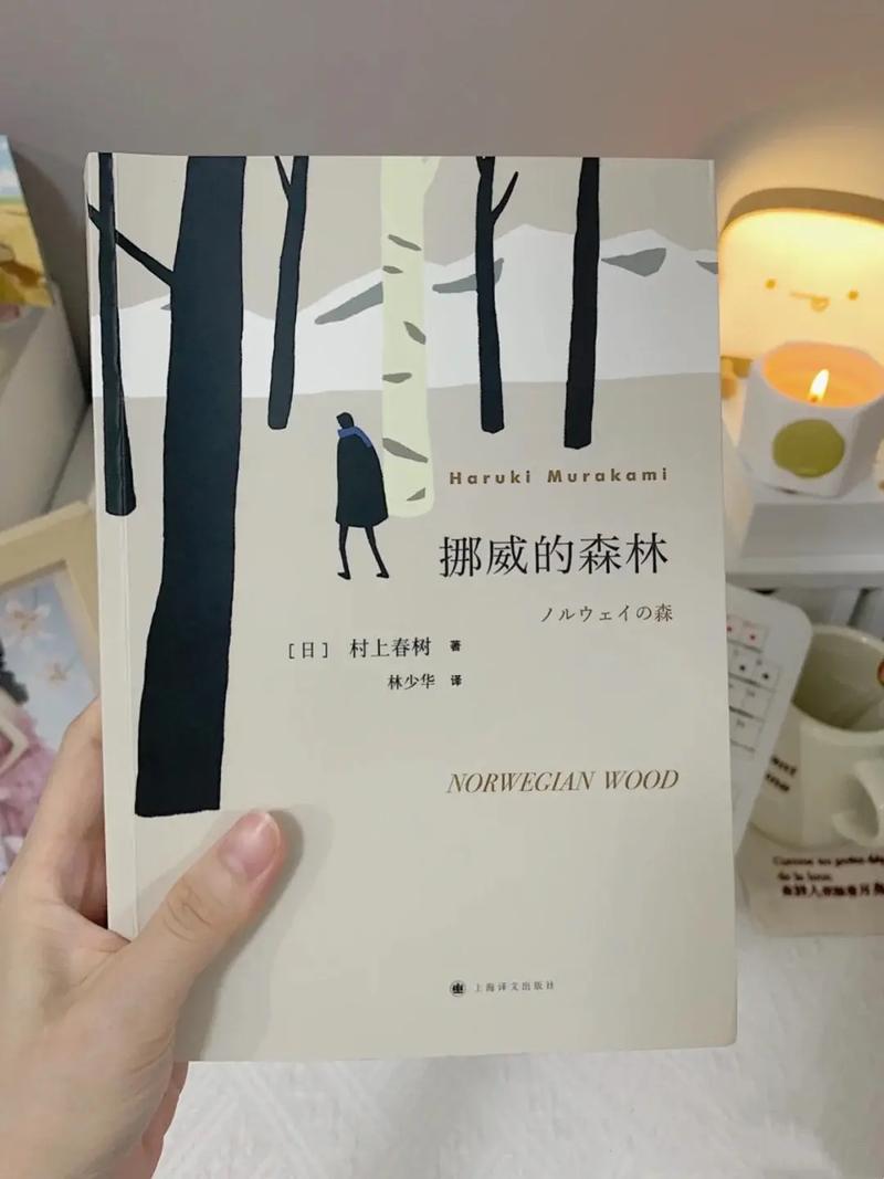 挪威的森林截了一段3分钟