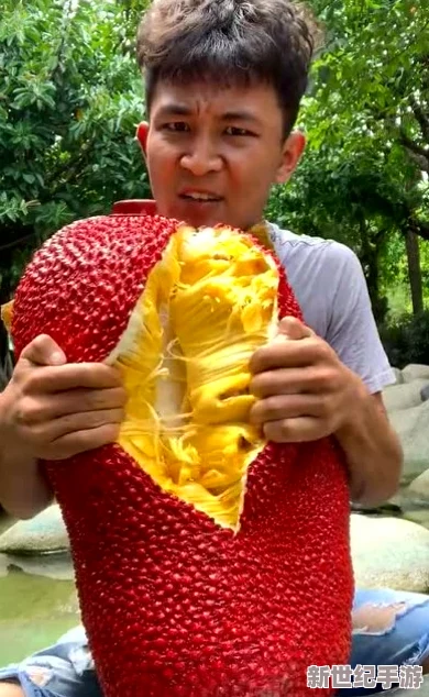 菠萝菠萝蜜视频竟引发全民热潮