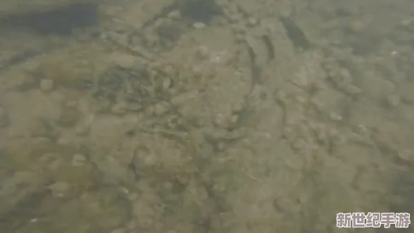 直捣黄龙溪水潺潺