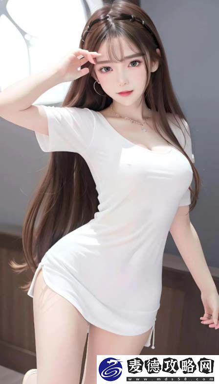 W71喷枪使用W77喷嘴入口