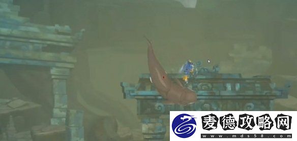 潜水员戴夫邓氏鱼怎么抓