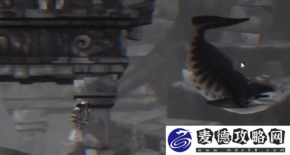 潜水员戴夫邓氏鱼怎么抓