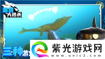 纸嫁衣游戏第五章攻略