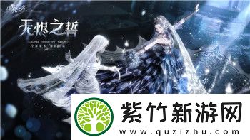 上古卷轴10周年纪念版最好的长剑和装甲推荐