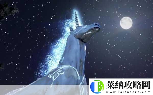 黑色沙漠新纪元