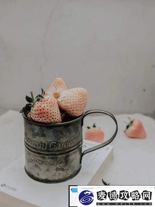草莓樱桃水蜜桃