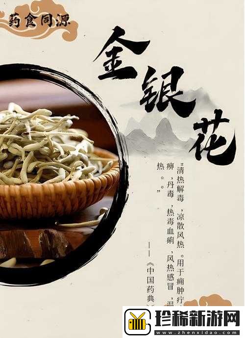 父承子液金银花原文