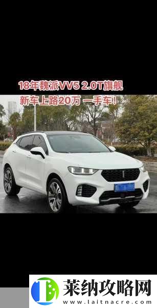 weyvv5国产的suv免费