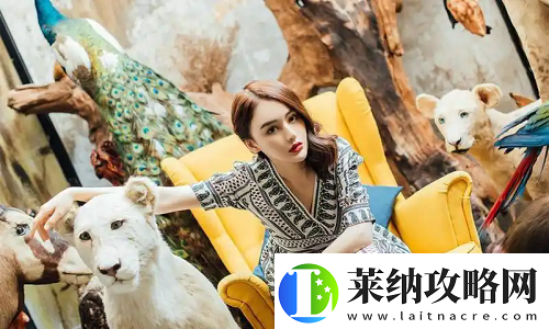 十九岁暴躁少女csgo免费观看