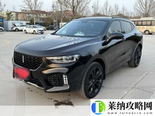 weyvv5国产的suv免费