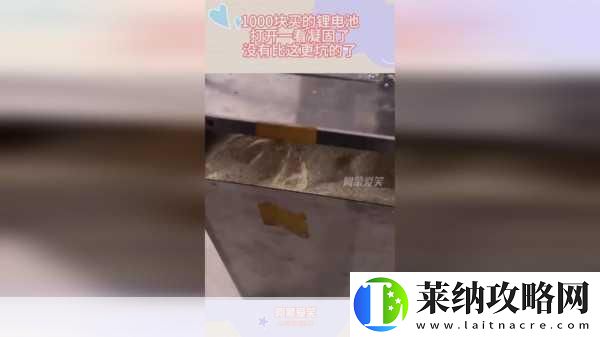 x9x9x9x9任意槽2024免费