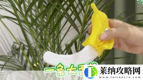 成品大香蕉煮小辣椒