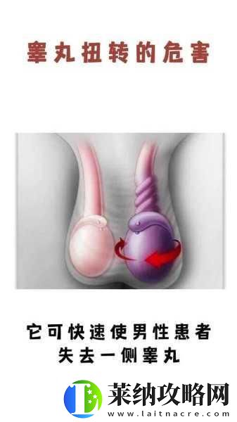 男生一边蛋蛋疼是怎么回事