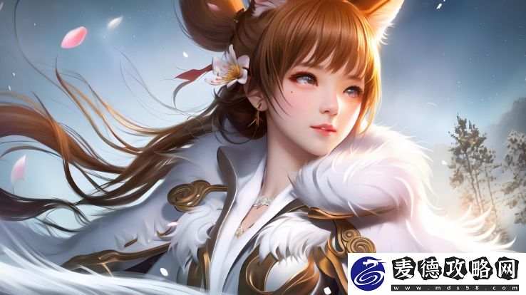 欧美区一码二码三码区别解析