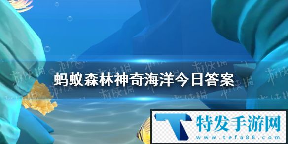 生活在海底的虎耳菇其实是一种
