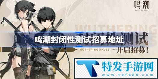 鸣潮封闭性测试招募地址