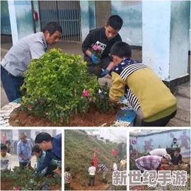 保卫萝卜3深度探索