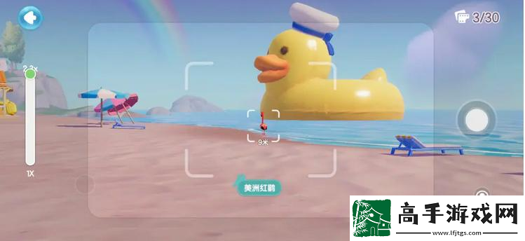 心动小镇海鸥在哪