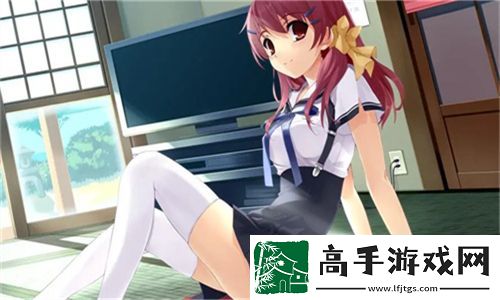 今天高清视频在线观看