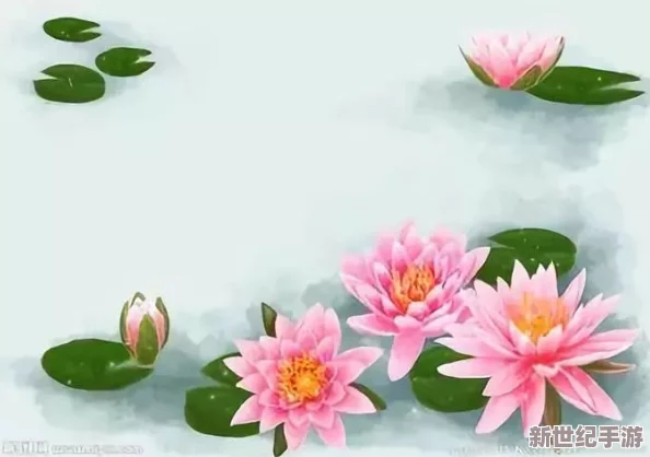 荷花1777.