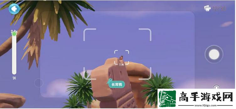 心动小镇海鸥在哪