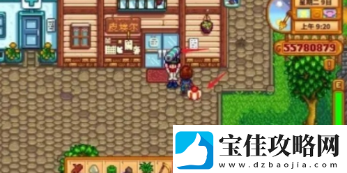 星露谷物语怎么结婚