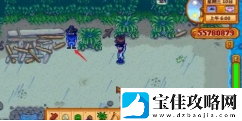 星露谷物语怎么结婚