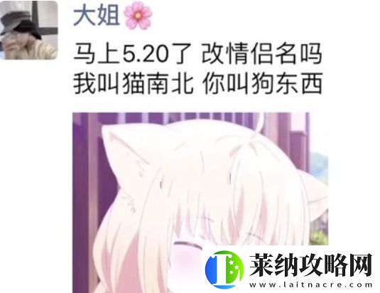 猫南北狗东西是什么梗络用语
