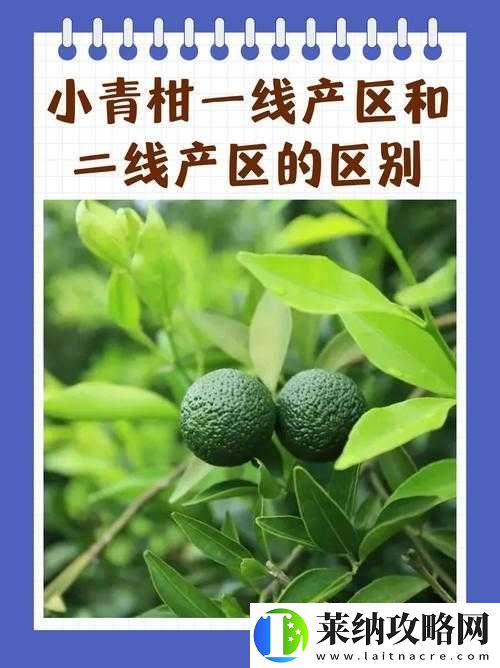 小青柑一线产区和二线产区有何区别