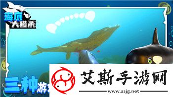 艾尔登法环是什么