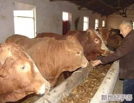 兽王lastdayonea杂交牧场