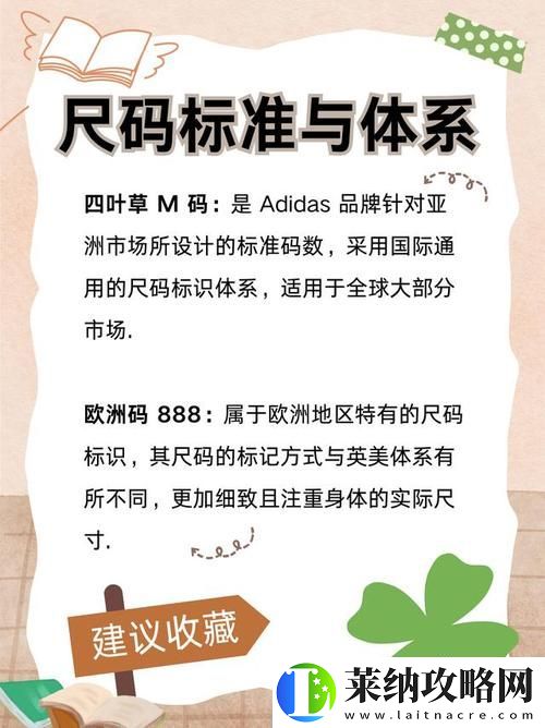 四叶草m码和欧洲码的888区别